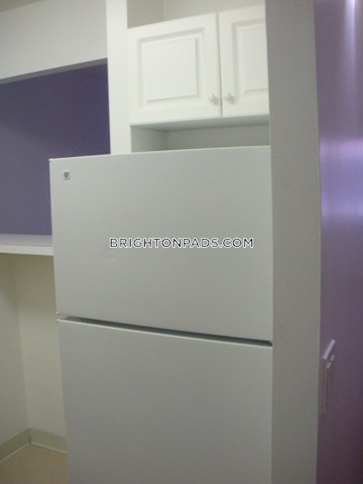 Brighton Apartment for rent 1 Bedroom 1 Bath Boston - $2,475