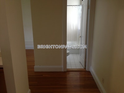 Brighton Apartment for rent 1 Bedroom 1 Bath Boston - $3,020 No Fee