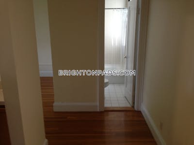 Brighton Apartment for rent 1 Bedroom 1 Bath Boston - $3,020 No Fee