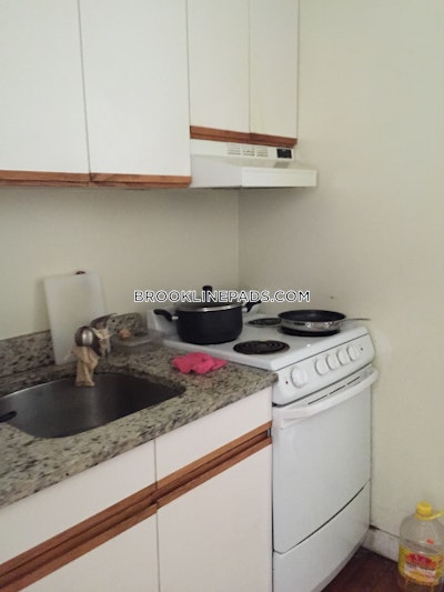 Brookline 1 Bed 1 Bath  Washington Square - $2,400 No Fee