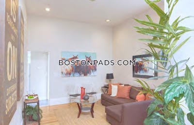 Cambridge 8 Bed, 3.5 Bath Unit  Harvard Square - $12,000 No Fee