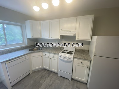 Brighton 2 Bed 1 Bath BOSTON Boston - $2,850
