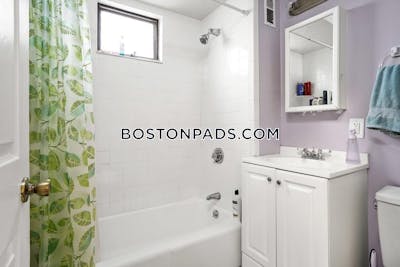 Somerville Renovated 4 bed 1 bath available 6/1 on Cutter Ave in Somerville!!   Davis Square - $4,500