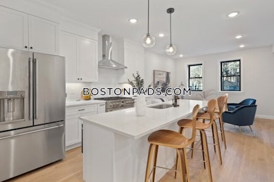 South Boston Nice 5 Beds 2.5 Baths on Woodward St in South Boston Boston - $6,200