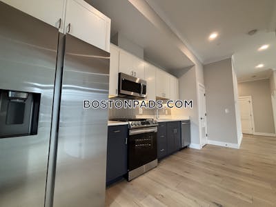 Allston 2 Beds 2 Baths Boston - $3,495 No Fee