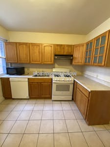 Allston 4 Beds 2 Baths Boston - $4,500 No Fee