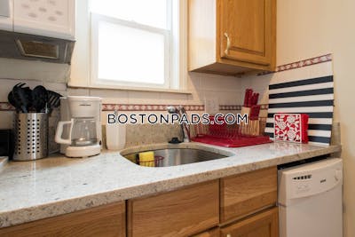Allston/brighton Border Charming studio 1 Bath BOSTON Boston - $2,350