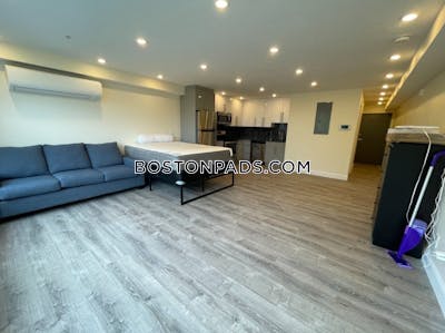 Brookline Studio 1 Bath  Boston University - $2,900 No Fee