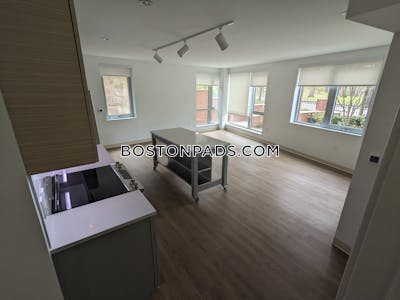 Jamaica Plain 3 Beds 2 Baths Boston - $7,196 No Fee