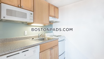 Cambridge 1 Bed 1 Bath CAMBRIDGE  Central Square/cambridgeport - $2,855