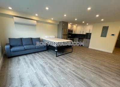 Brookline Modern Studio 1 bath available now on Commonwealth Ave in Brookline !  Boston University - $2,900