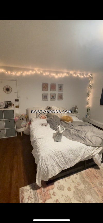 Brighton 2 Bed 1 Bath BOSTON Boston - $2,750