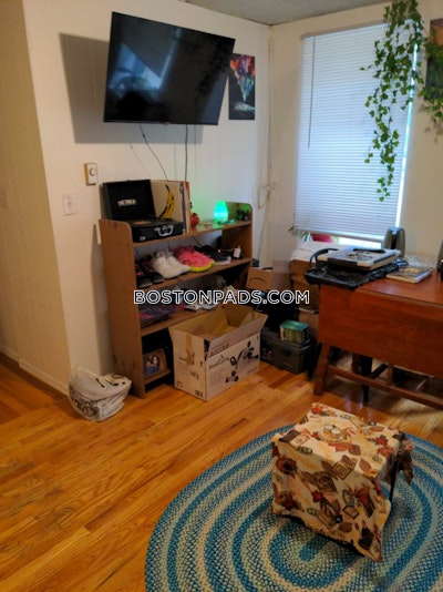 Brighton 1 Bed 1 Bath Boston - $2,100