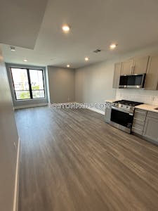 Brighton 1 Bed 1 Bath Boston - $3,250 No Fee