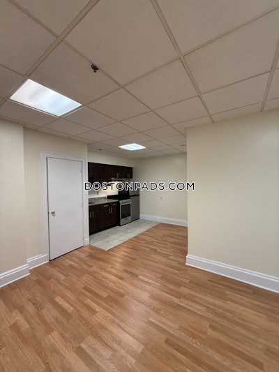 Chinatown 1 Bed 1 Bath Boston - $3,050 No Fee