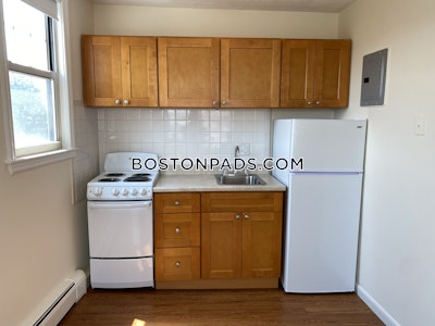Allston/brighton Border 1 Bed 1 Bath Boston - $2,500 No Fee