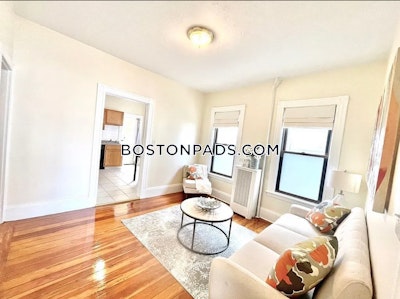 Brighton 3 Beds 1 Bath Boston - $3,300 No Fee