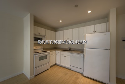 Downtown 1 Bed 1 Bath Boston - $2,995 No Fee