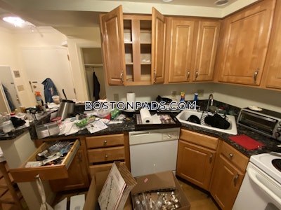 Newton Studio 1 Bath  Chestnut Hill - $2,600