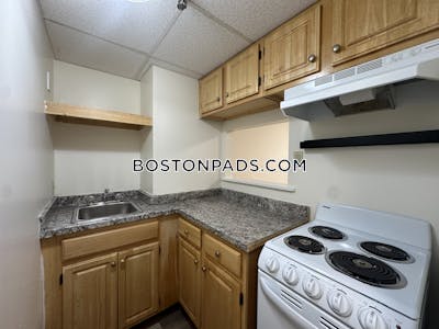 Chinatown 1 Bed 1 Bath Boston - $2,850 No Fee