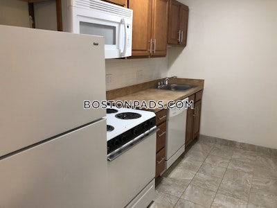 Allston/brighton Border 1 Bed 1 Bath BOSTON Boston - $2,475 No Fee