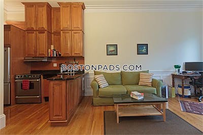 Back Bay Studio 1 Bath Boston - $2,750