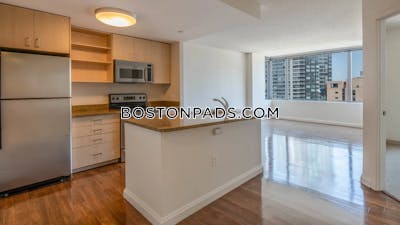 Downtown Luxury 1 Bed 1 Bath on Washington St in BOSTON Boston - $3,675