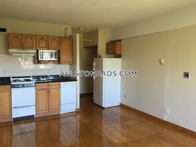 Allston Apartment for rent Studio 1 Bath Boston - $1,850