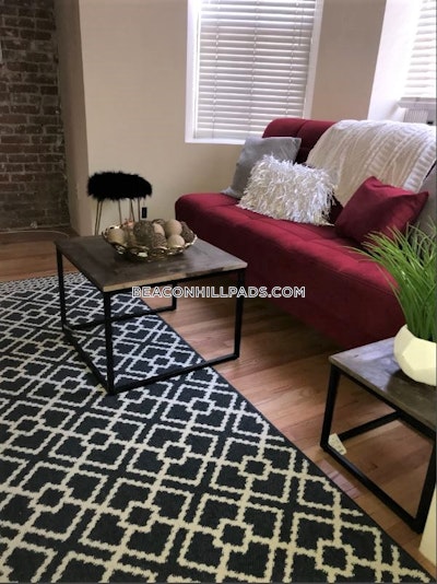 South End Apartment for rent Studio 1 Bath Boston - $2,650 50% Fee