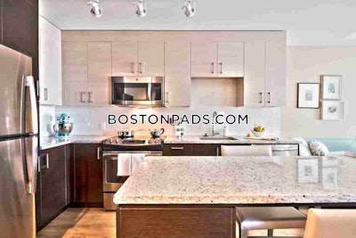 Chinatown 3 Bed 2 Bath BOSTON Boston - $8,517 No Fee
