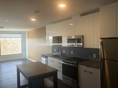 Jamaica Plain Apartment for rent 2 Bedrooms 1 Bath Boston - $4,966 No Fee