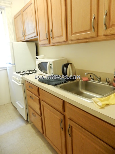 Northeastern/symphony 1 Bed 1 Bath Boston - $3,250 50% Fee