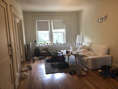 Brighton 3 Beds 1 Bath Boston - $3,695 No Fee