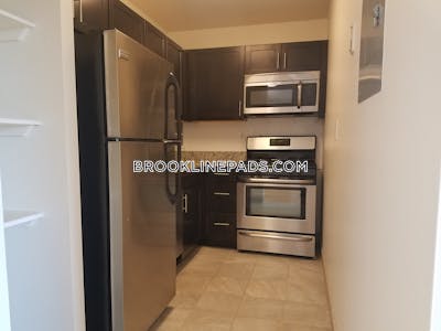 Brookline Apartment for rent 1 Bedroom 1 Bath  Boston University - $3,325