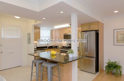 Brookline Apartment for rent 1 Bedroom 1 Bath  Chestnut Hill - $3,820 No Fee