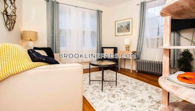 Brookline 1 Bed 1 Bath BROOKLINE- LONGWOOD AREA $4,500  Longwood Area - $4,500