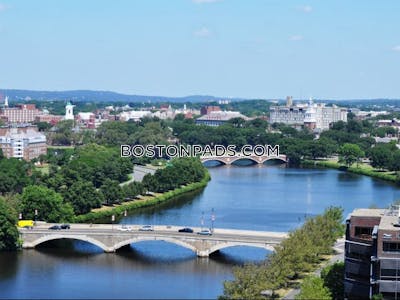 Cambridge 1 Bed 1 Bath CAMBRIDGE  Central Square/cambridgeport - $2,900 No Fee
