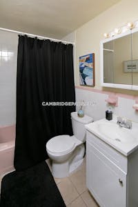 Cambridge Apartment for rent Studio 1 Bath  Porter Square - $2,300