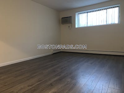 Allston Apartment for rent 1 Bedroom 1 Bath Boston - $2,500