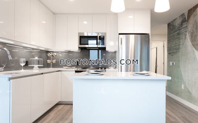 West End Apartment for rent 2 Bedrooms 2 Baths Boston - $11,493