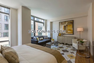West End Apartment for rent 2 Bedrooms 1 Bath Boston - $5,995