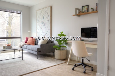 Dorchester 1 bedroom  Luxury in BOSTON Boston - $3,040