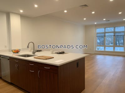 Brookline Apartment for rent 1 Bedroom 1 Bath  Chestnut Hill - $3,280 No Fee