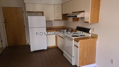 Downtown Apartment for rent 1 Bedroom 1 Bath Boston - $2,500 No Fee
