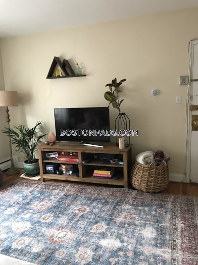 Brighton Apartment for rent 2 Bedrooms 1 Bath Boston - $2,930