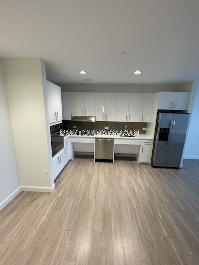 Allston Apartment for rent 1 Bedroom 1 Bath Boston - $3,529