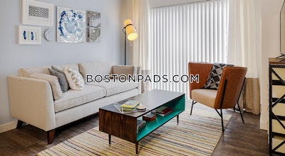 Cambridge 2 bedroom 2 baths Luxury in CAMBRIDGE  Central Square/cambridgeport - $4,955 No Fee