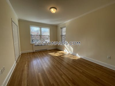 Brighton 1 Bed 1 Bath Boston - $3,025 No Fee