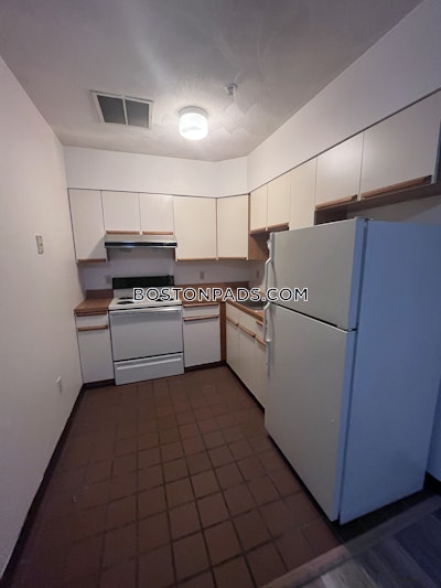 Downtown Apartment for rent 1 Bedroom 1 Bath Boston - $3,000 No Fee