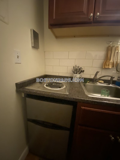 Jamaica Plain Apartment for rent Studio 1 Bath Boston - $1,795